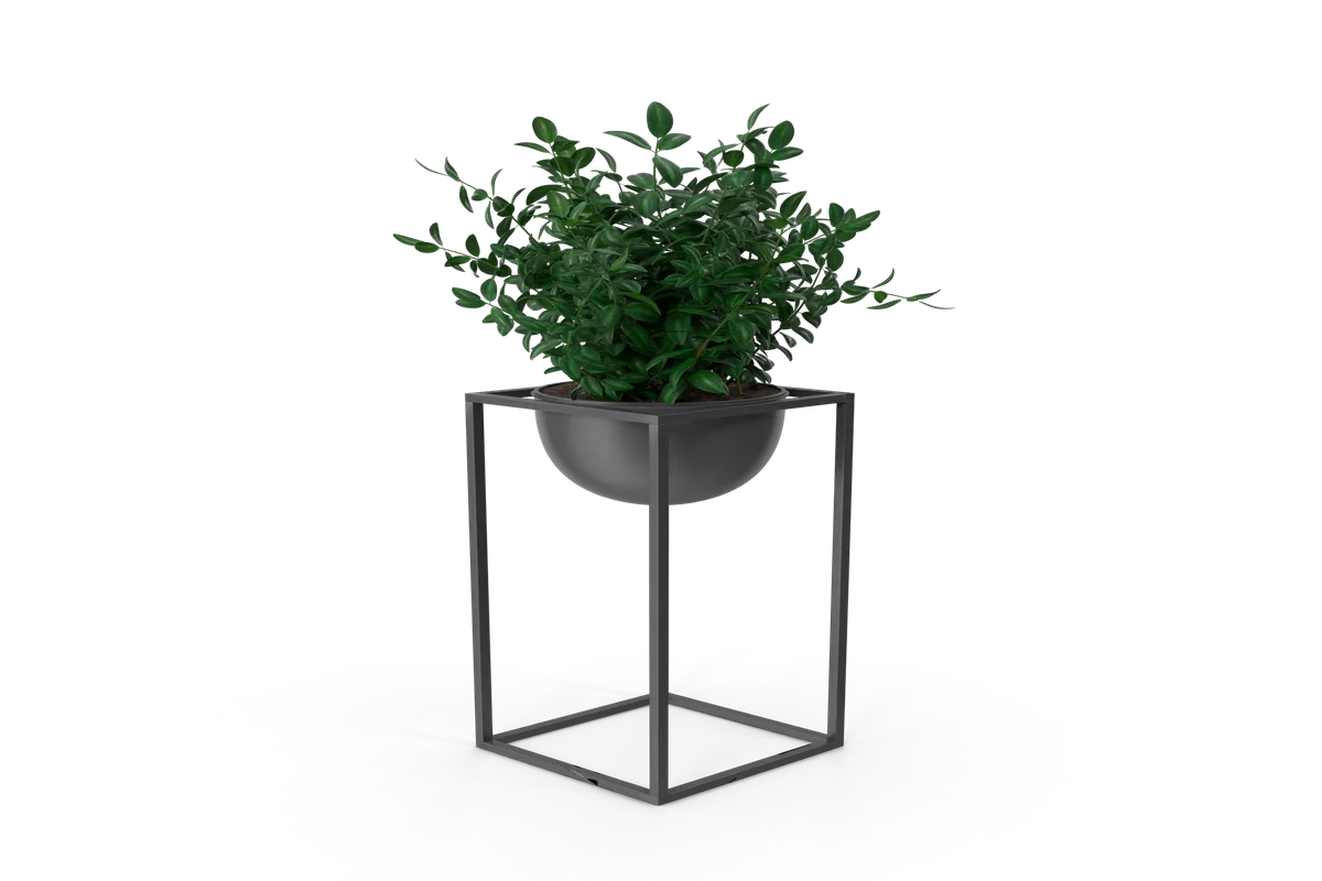 Smaller post detail image.