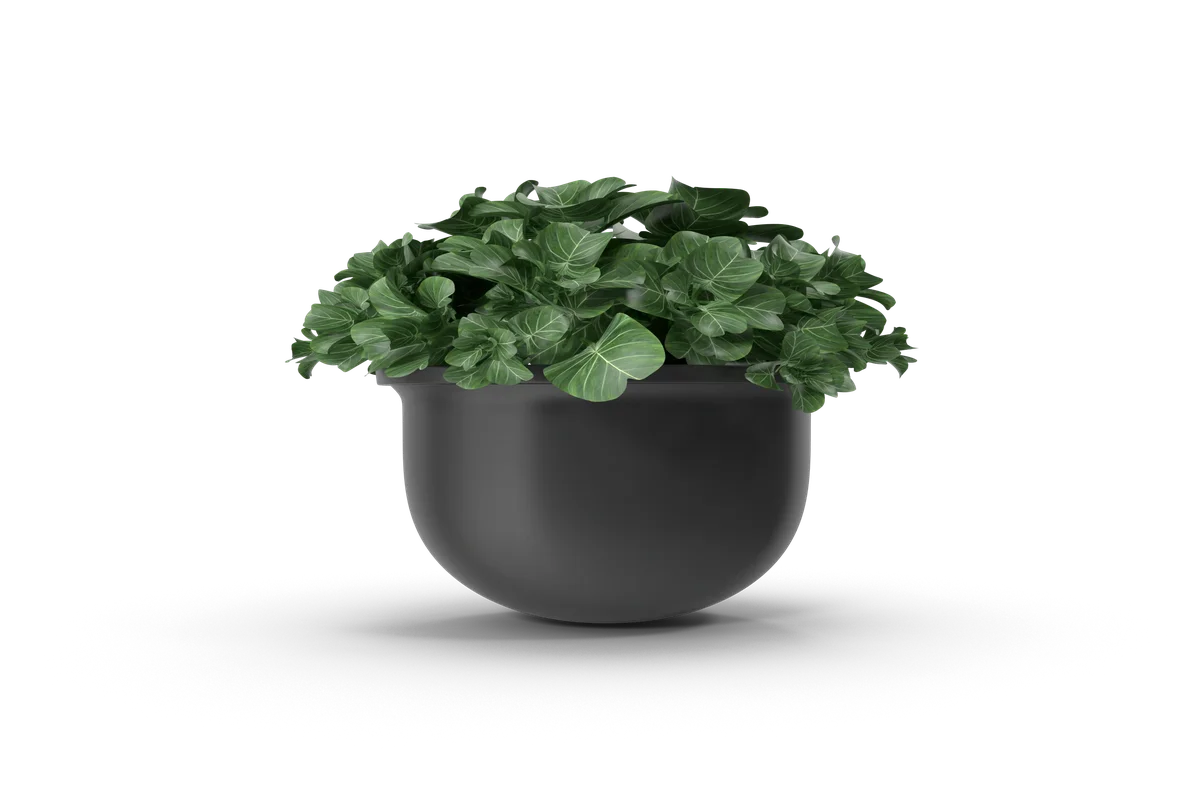 Smaller post detail image.