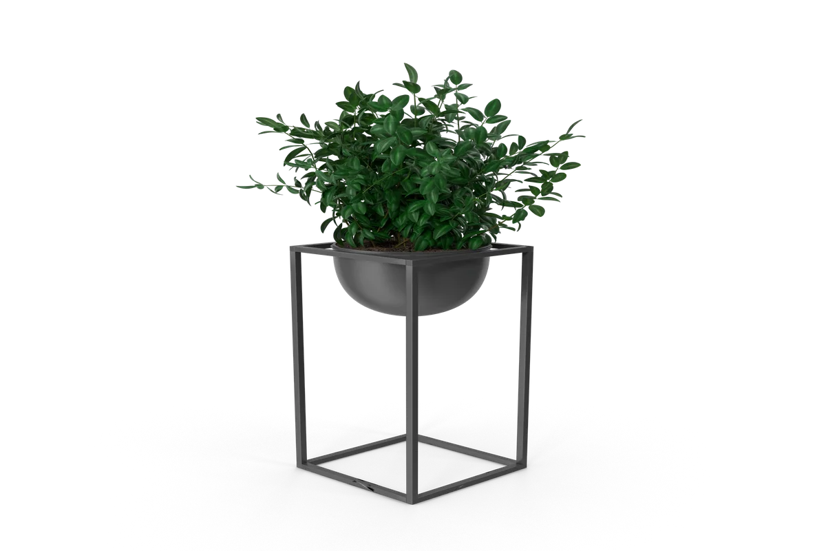 Smaller post detail image.